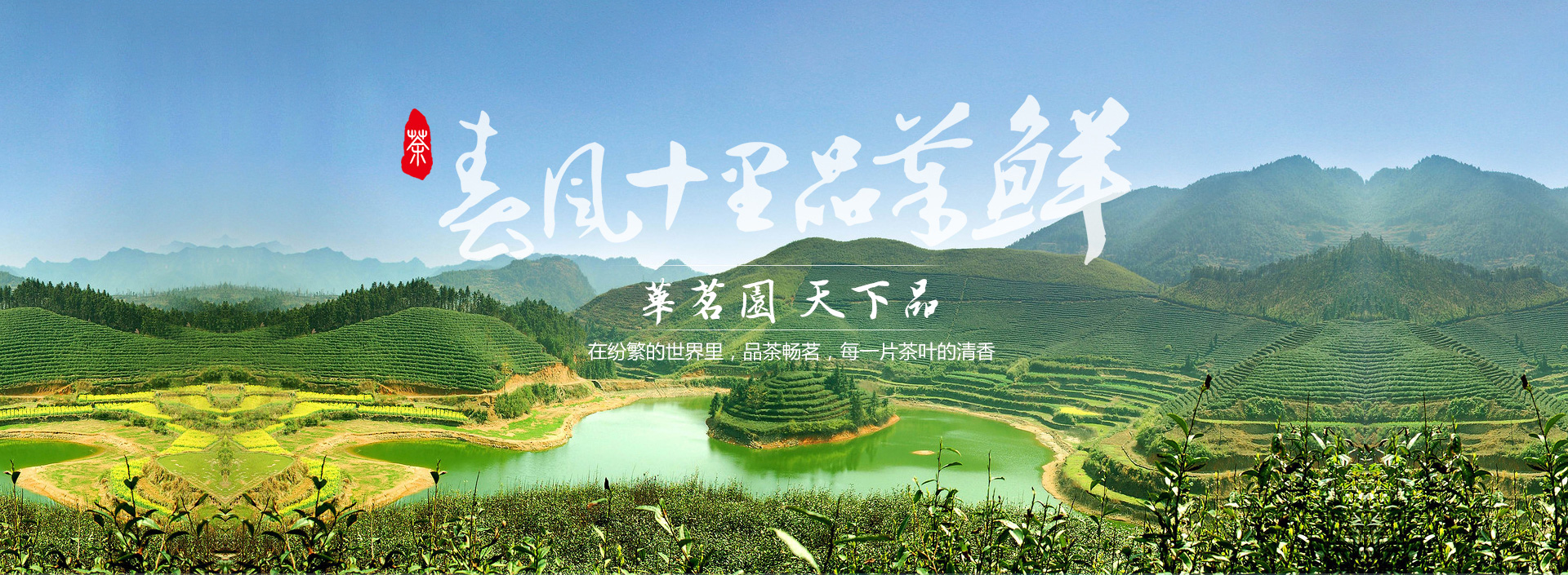 浙江華茗園-華茗園茶業-浙江華茗園茶業有限公司
